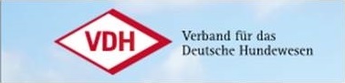 vdh 04