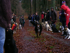 Unternehmungen und Festle