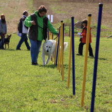 20m Slalom 21 09 08 005