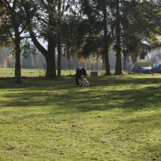 2008 10 18 Teamtest klein 0043