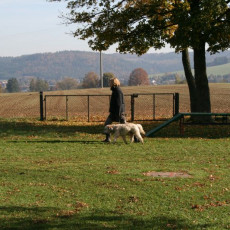 2008 10 18 Teamtest klein 0069