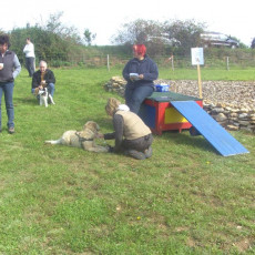 Sommerfest 2008 i 012