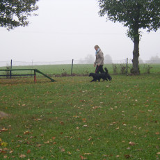 Teamtest HSV 20070003