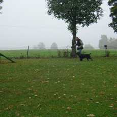 Teamtest HSV 20070005