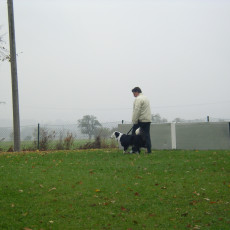 Teamtest HSV 20070006