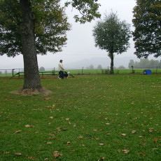 Teamtest HSV 20070008