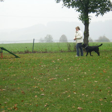 Teamtest HSV 20070010