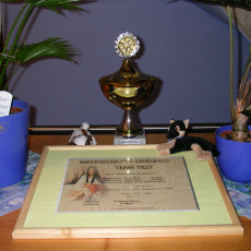 Teamtest Mannschaft0003