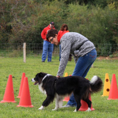 Gruppe3 21.09.2008 14 59 28