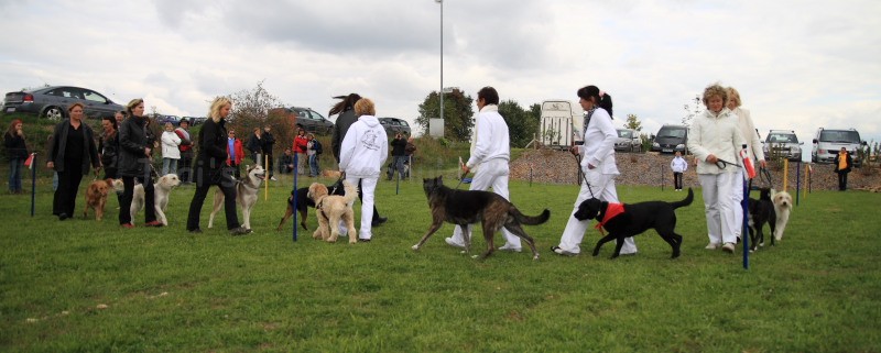 Gruppe4 Quadrille 21 09 08 002 21.09.2008 15 03 33