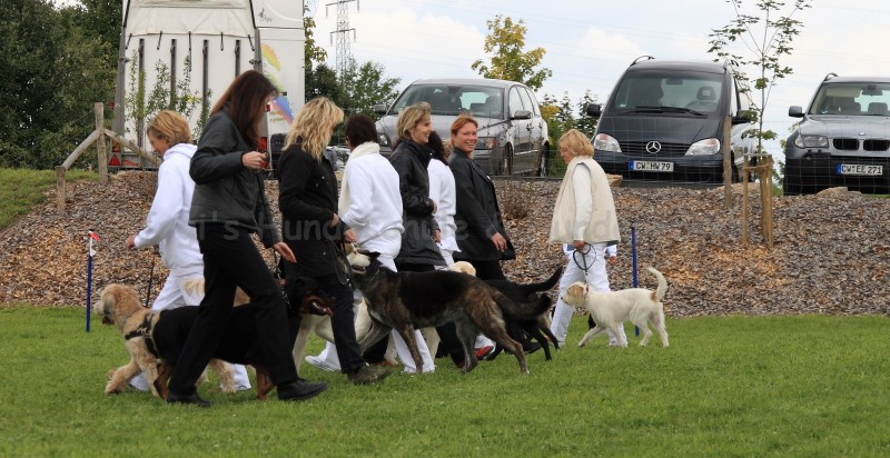 Gruppe4 Quadrille 21 09 08 002 21.09.2008 15 04 14