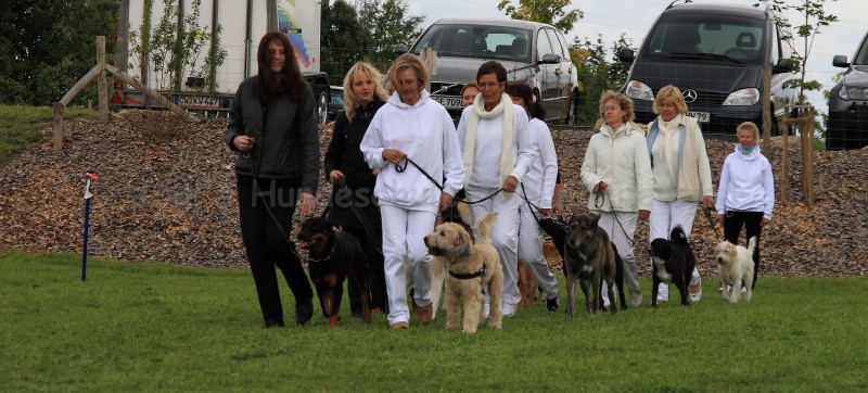 Gruppe4 Quadrille 21 09 08 002 21.09.2008 15 04 58