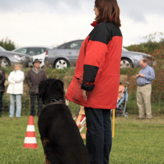 Jogis HuSchu Sommerfest 08 133