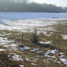 2006 02 03 Abstecken der Geb  ude006i