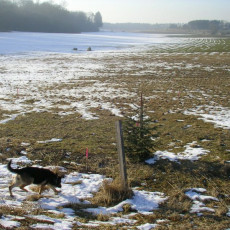 2006 02 03 Abstecken der Geb  ude007i