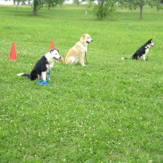 2006 Unser Training0001 i