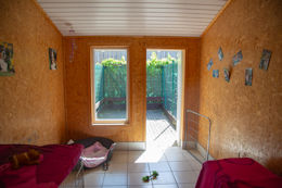 startseite hundepension